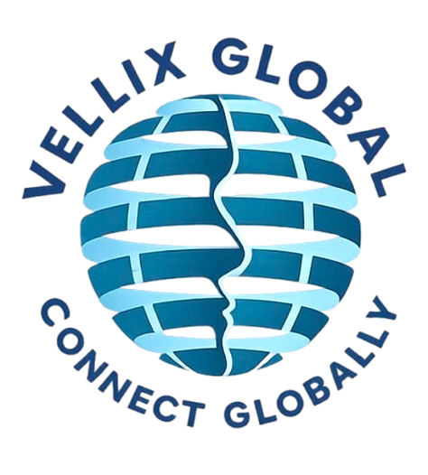 Vellix Global Logo